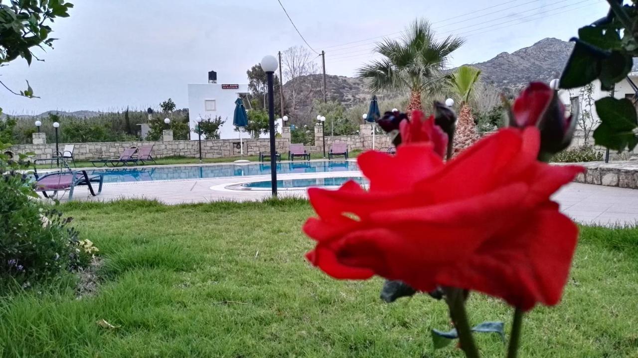 Dimitris Villa Hotel Matala  Exterior photo
